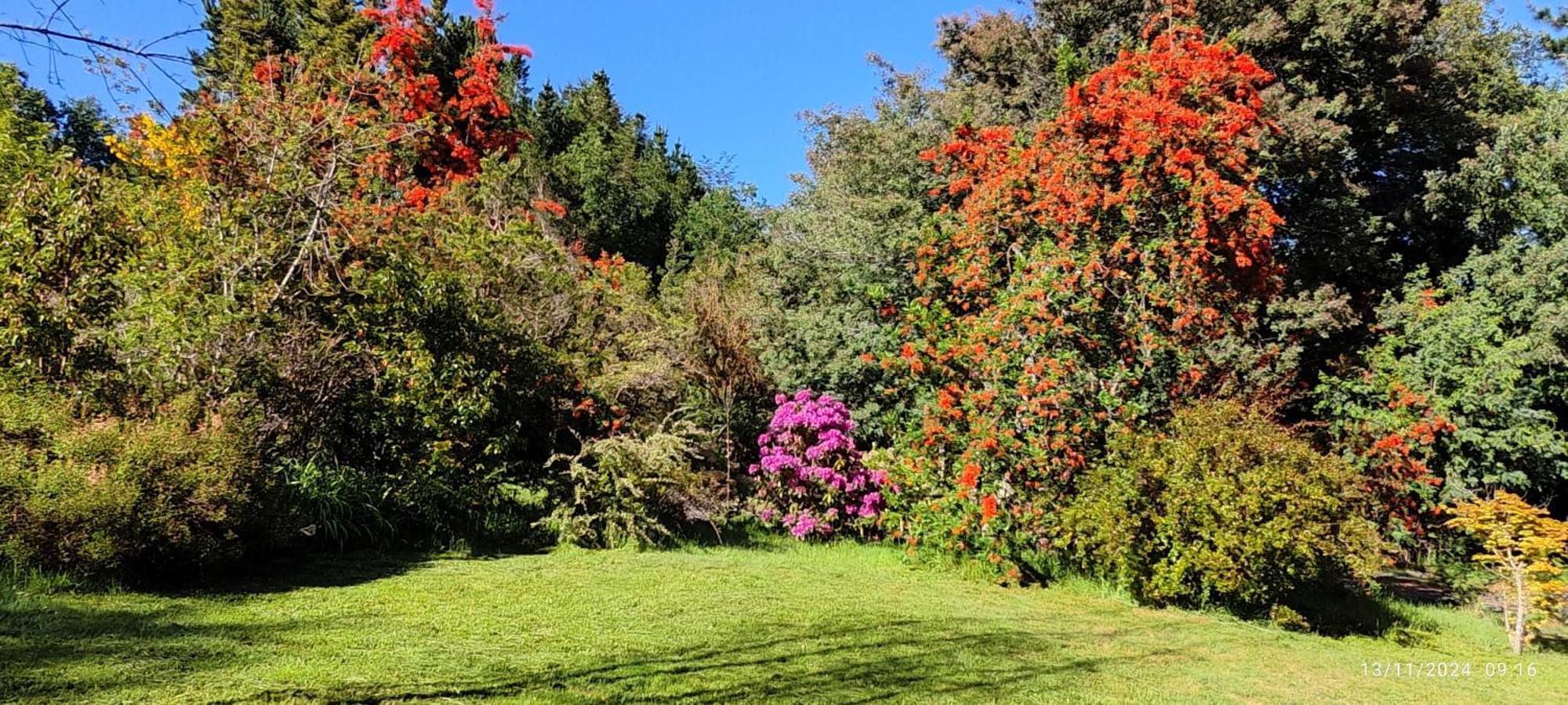 פוקון Bambu Lodge מראה חיצוני תמונה